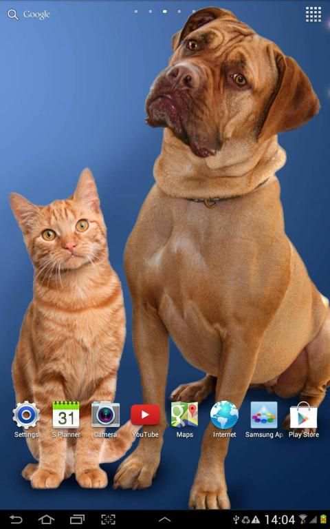 Cat Live Wallpaper screenshot 5