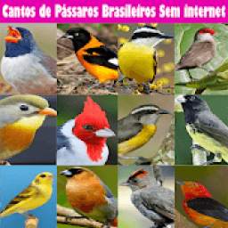 Cantos de Pássaros Brasileiros Sem internet 2019