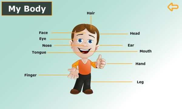 English for First Grade screenshot 8