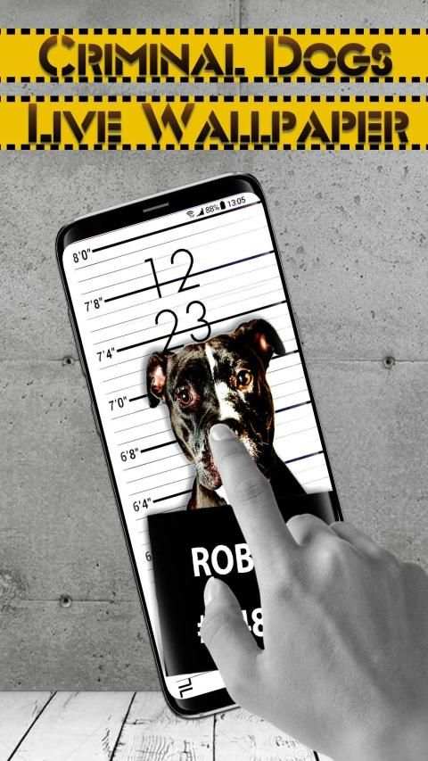 Cool Dog APUS Live Wallpaper screenshot 3