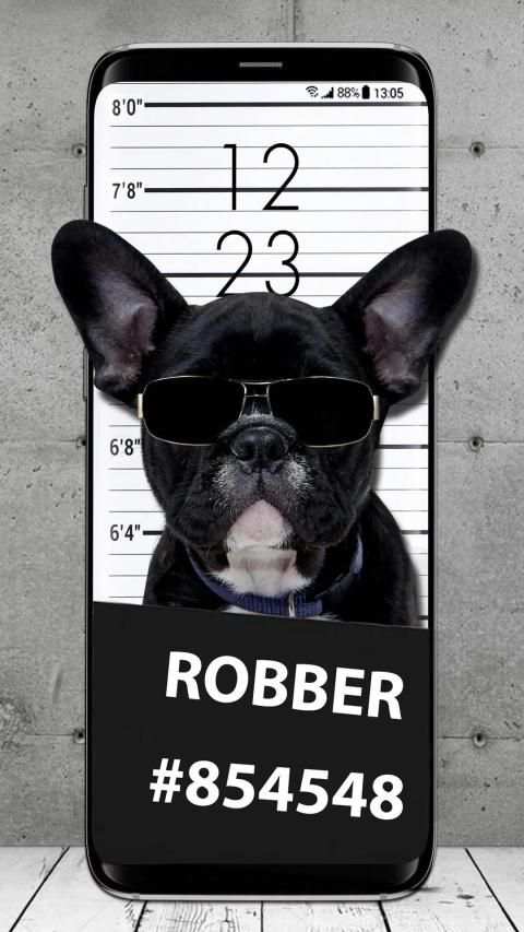 Cool Dog APUS Live Wallpaper screenshot 1