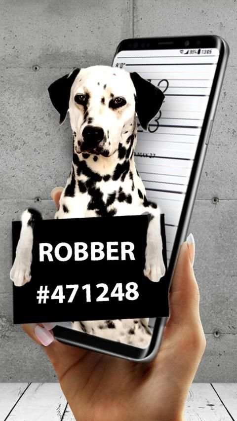 Cool Dog APUS Live Wallpaper screenshot 2