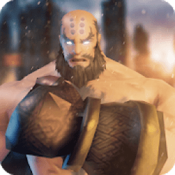 Super Hero Street Fighter icon