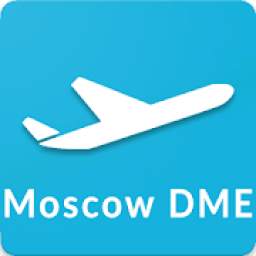 Moscow Domodedovo Airport Guide - DME