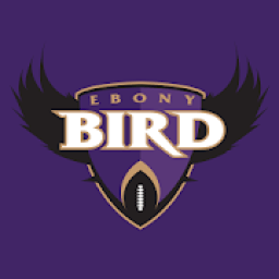 Ebony Bird: Ravens News icon