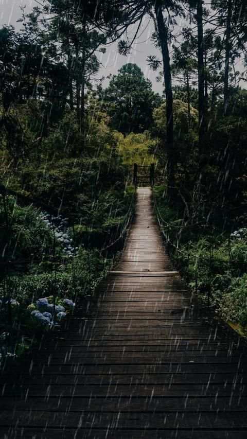 Raining Day APUS Live Wallpaper screenshot 2