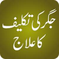 Jigar Ki Takleef Ka Elaj Urdu on 9Apps
