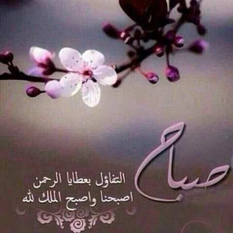 صور صباح سعيد
‎ screenshot 1