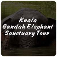 Kuala Gandah Elephant Sanctuary Tour