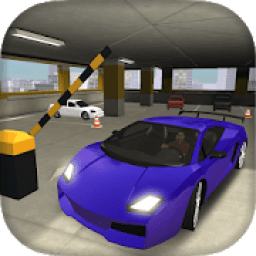 ikon Race Car Driving Simulator 3D