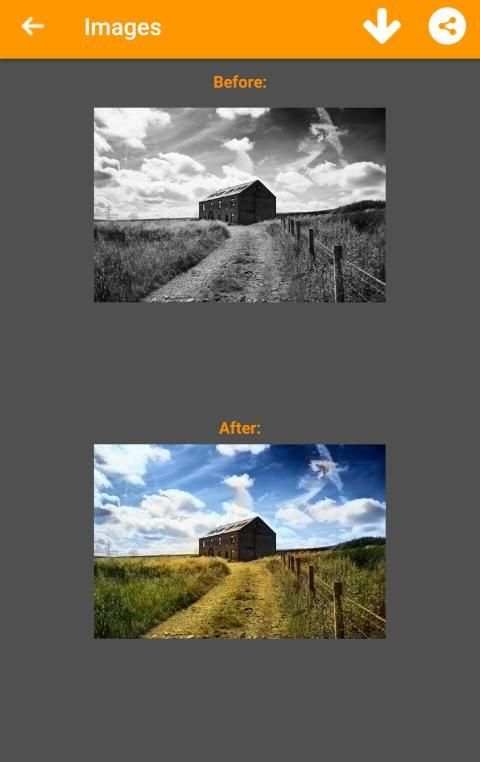 Black and White Photo Colorizer - Chromatix screenshot 14