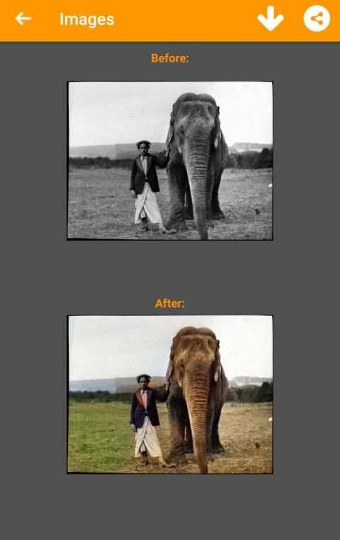 Black and White Photo Colorizer - Chromatix screenshot 8