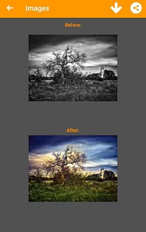 Black and White Photo Colorizer - Chromatix screenshot 1