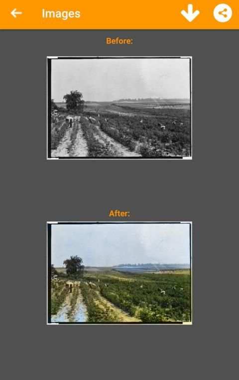 Black and White Photo Colorizer - Chromatix screenshot 9