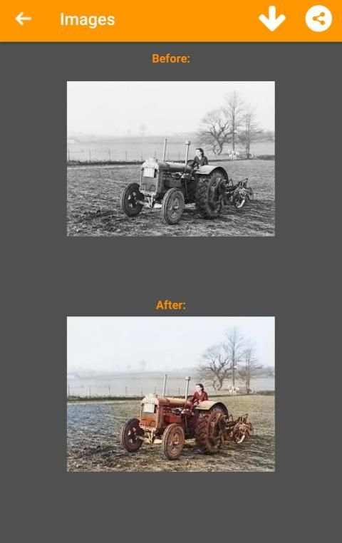 Black and White Photo Colorizer - Chromatix screenshot 6