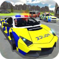 Police Car Crime Driving