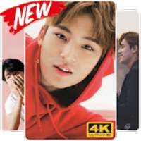 Mingyu Seventeen Wallpaper HD on 9Apps