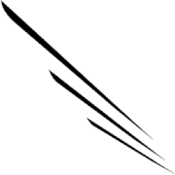 D&amp;S AVIATION INC. icon