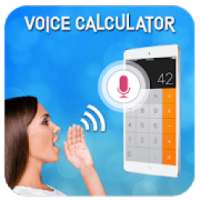 Voice Calculator