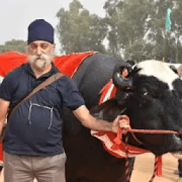 ikon Pashumandi by Gurkirpal Singh