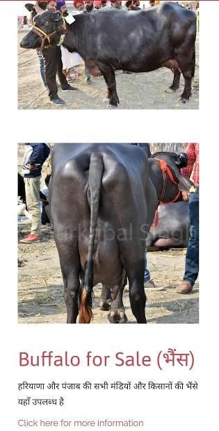 Pashumandi by Gurkirpal Singh स्क्रीनशॉट 2