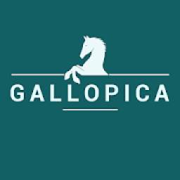 Gallopica Riding
