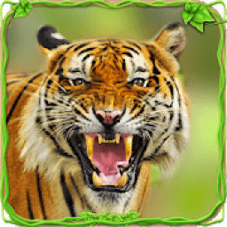 ikon Furious Tiger Simulator *