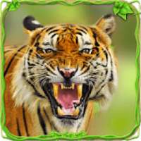 Furious Tiger Simulator * on 9Apps