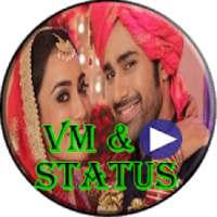 Naagin 3 Status & VM