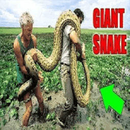 Matukio Ya Ajabu Duniani icon