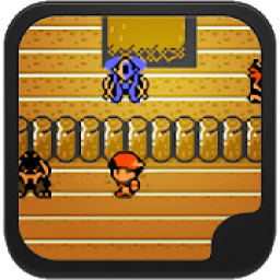 ikon Pkn Crystal Classic