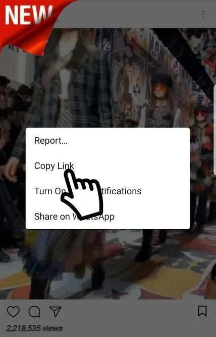 Downloader Story for Instagram screenshot 2