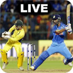 Cricket Score 9.1