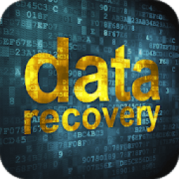 ikon Data Recovery