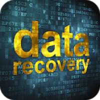 Data Recovery