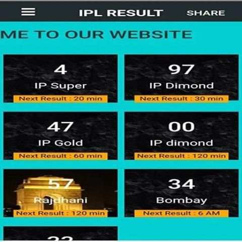 IPL Game screenshot 1