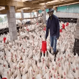 Mbinu Za Ujasiriamali आइकन