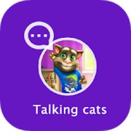 Talking Cats Pet all in one