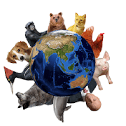 ikon KlankLicht Dieren