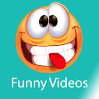 Funny Videos for Tik Tok & Musically