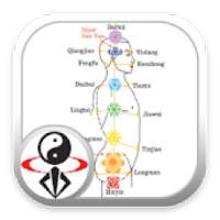 Acupressure Massage Qigong (YMAA) on 9Apps