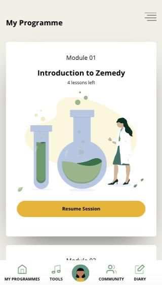 Zemedy screenshot 1