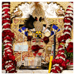 Shri Sanwariya Seth Online Services icon