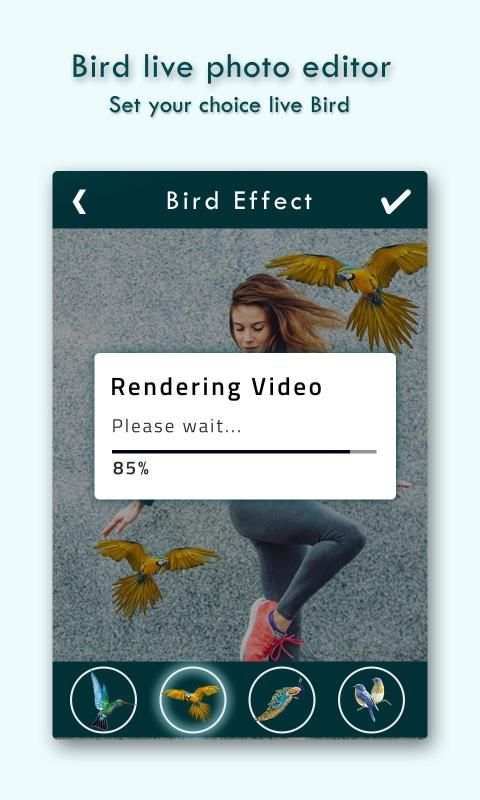 Live Birds Photo Editor : Cinamagraph Animation screenshot 1