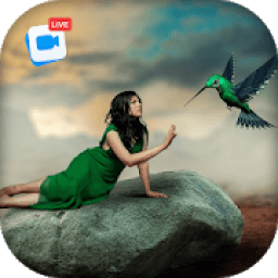 ikon Live Birds Photo Editor : Cinamagraph Animation