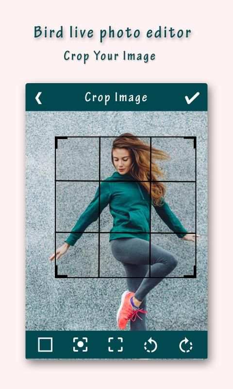 Live Birds Photo Editor : Cinamagraph Animation स्क्रीनशॉट 3
