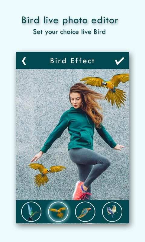 Live Birds Photo Editor : Cinamagraph Animation स्क्रीनशॉट 2