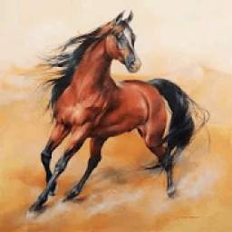 Horse True Arabic Wallpaper Free