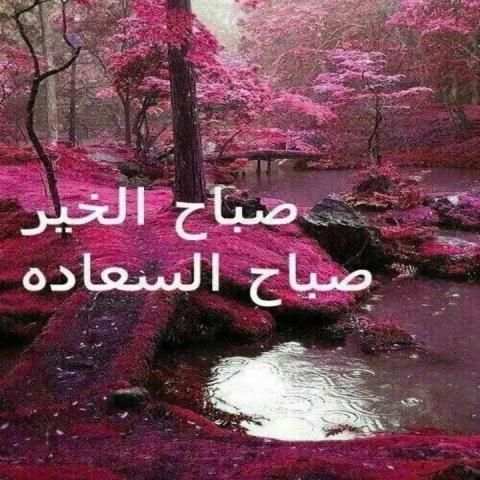 صباح ومساء الخير متحركة 2019
‎ скриншот 2