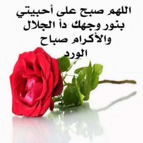 صباح ومساء الخير متحركة 2019
‎ скриншот 6